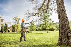 How Our Tree Care Process Works  in Uniontown, PA